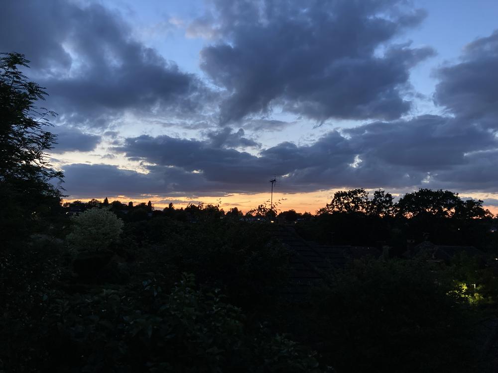Evening Abbey Fields